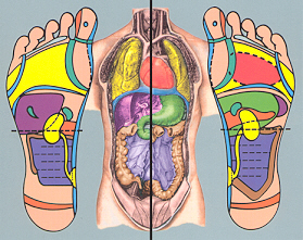 Essential Oil Reflexology Chart