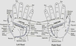 Hand Reflexology Chart