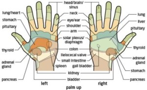 Hand Reflexology Chart